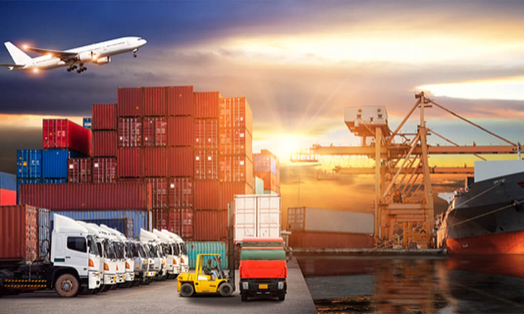 Import Exports